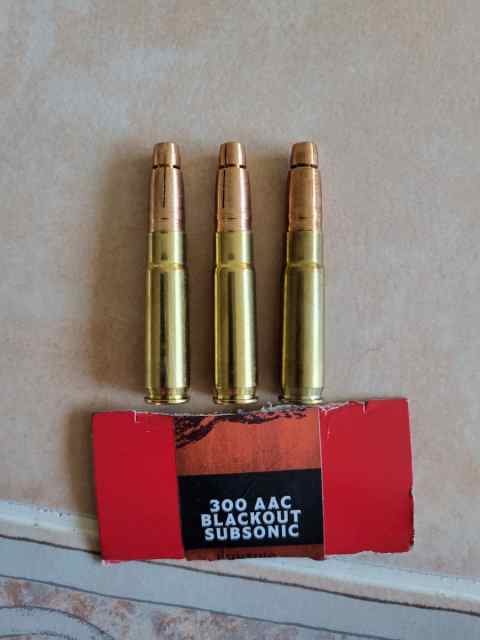 Discreet Ballistics 300 Blackout 188gr Selous 