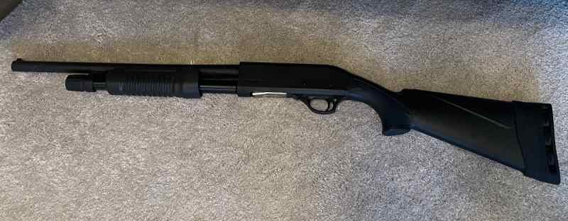 Hatfield home defense PAS 12 gauge