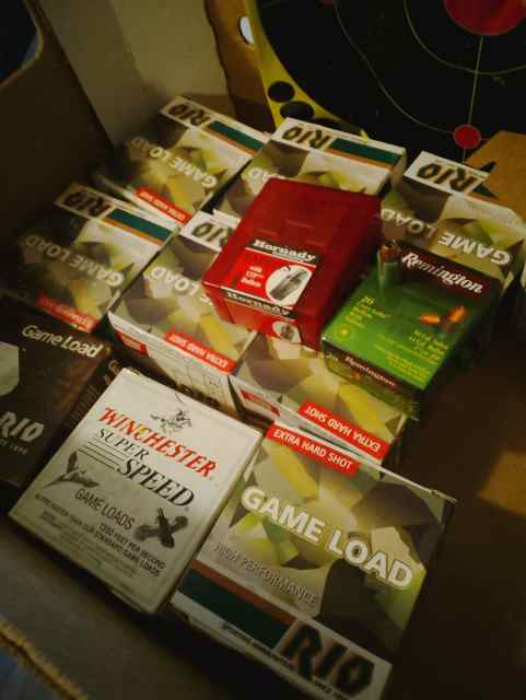 Lot of 380, 12 gauge, 50 cal (44) sabot, 243 win