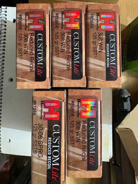 Hornady Custom Lite 30-06