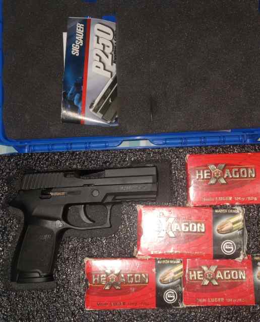 LNIB Sig P250 Compact