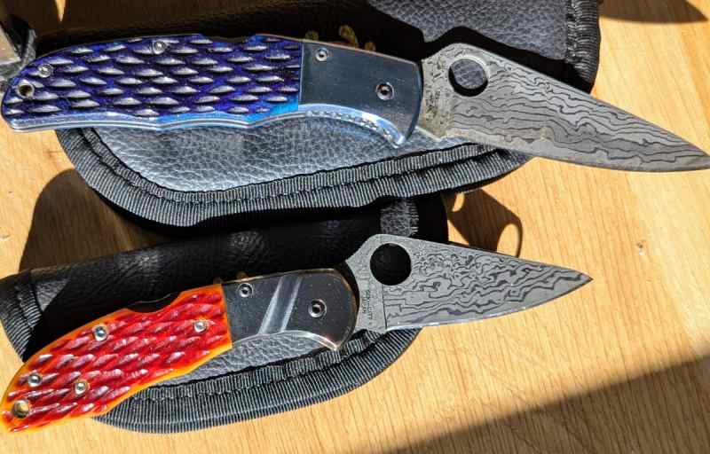 Spyderco Delica &amp; Endura Damascus Bone Handle 