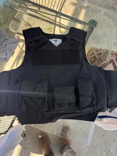 Plate carrier with plates 3a