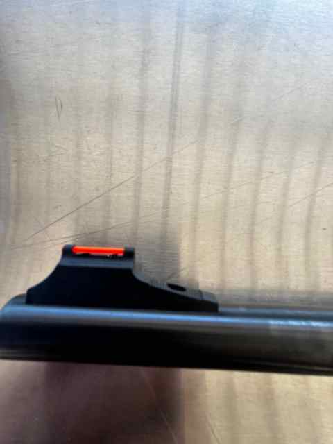 IMG_8718.jpeg