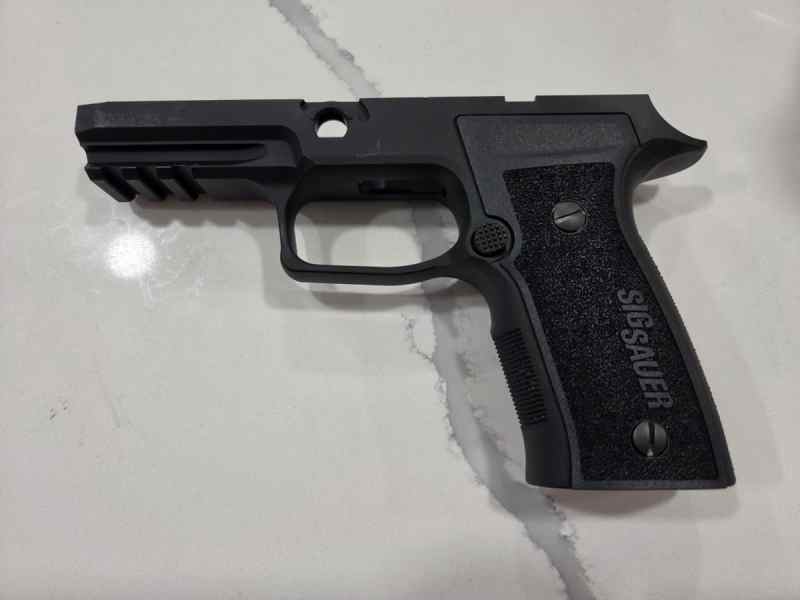 Sig 320 AXG Grip Module