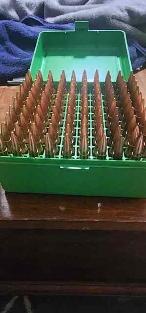 308 ammo with hard cases