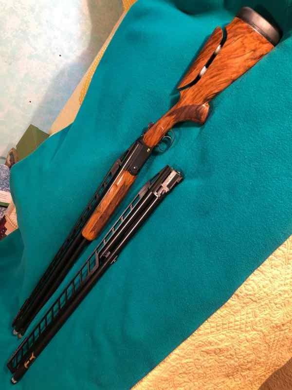 Blaser 1 - Copy.JPG