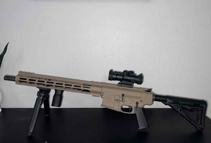 AR-10 308