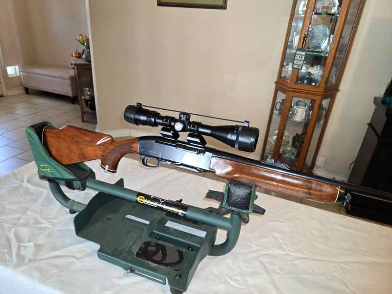 Remington Model Four, 243 with Bushnell 3-9x40 