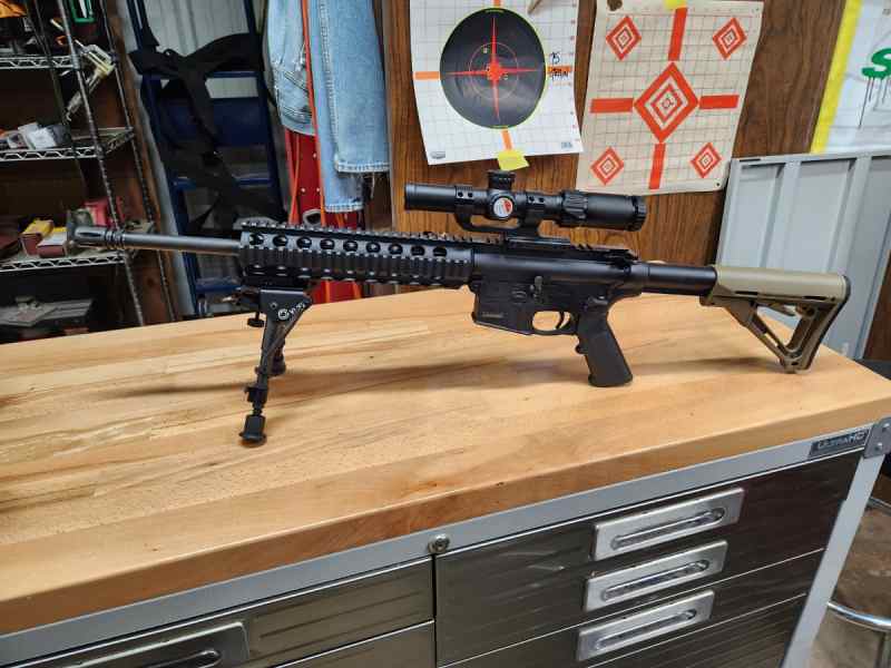 M&amp;P 15 22, Ten loaded 25 round mags