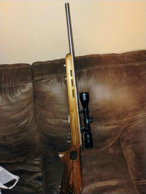 Savage 93 17 hmr