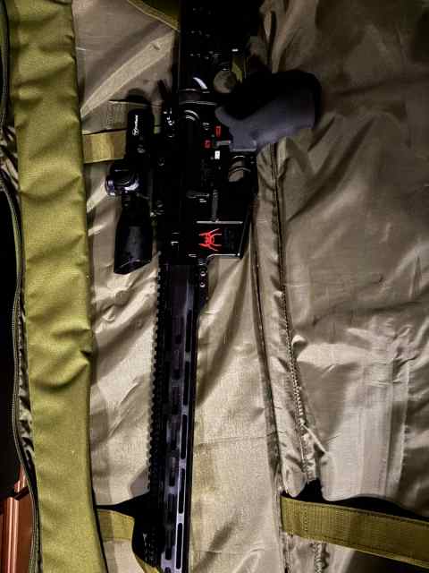 custom AR 15 .223/5.56 Spikes/PSA
