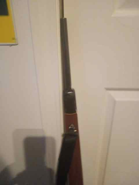 Resized_20250610_143533.jpeg