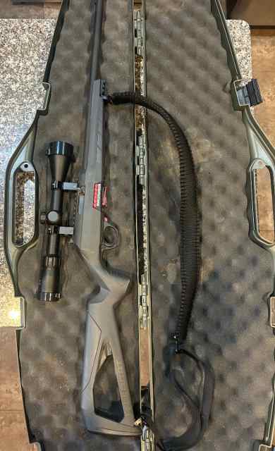 Winchester Wildcat .22