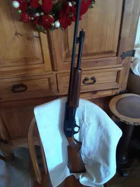 Crickett 410 pump 275.00 in Quitman