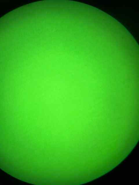 IMG_2260.jpeg