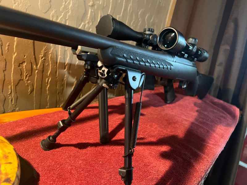Bergara / REM 700 SA Stock/Chassis