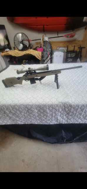 Ruger 308