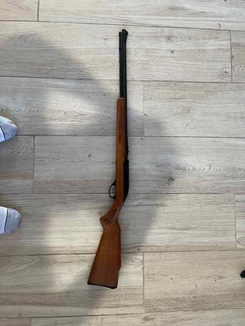 Glenfield 60 .22 Rifle