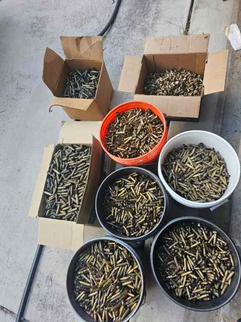 Once fired brass