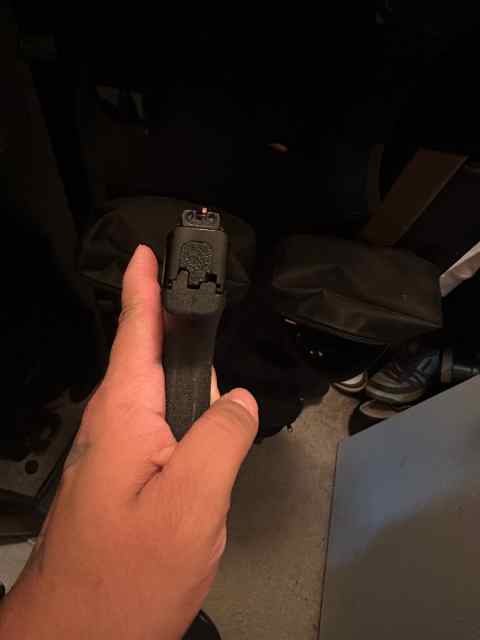 IMG_8965.jpeg