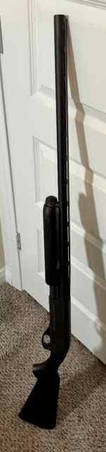 IMG_9466.jpeg