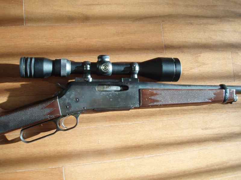 P1010013 [800x600].JPG