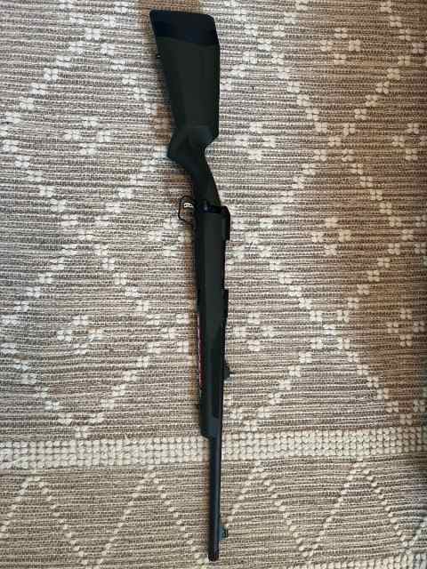 Savage 110 Hunter 30.06