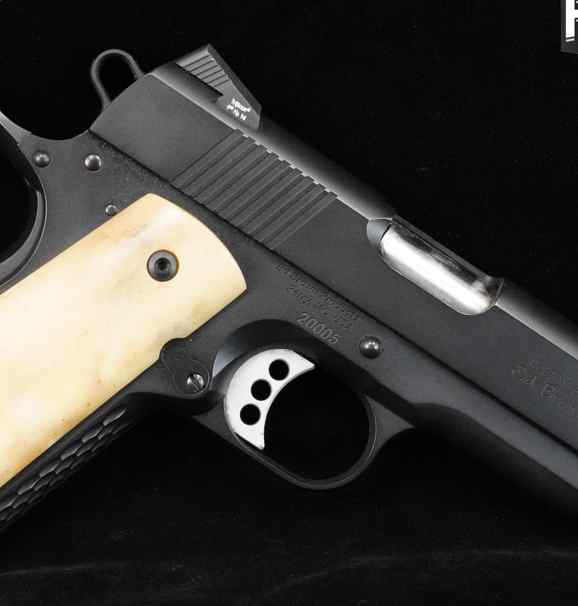 Ed Brown 1911 Alpha Carry