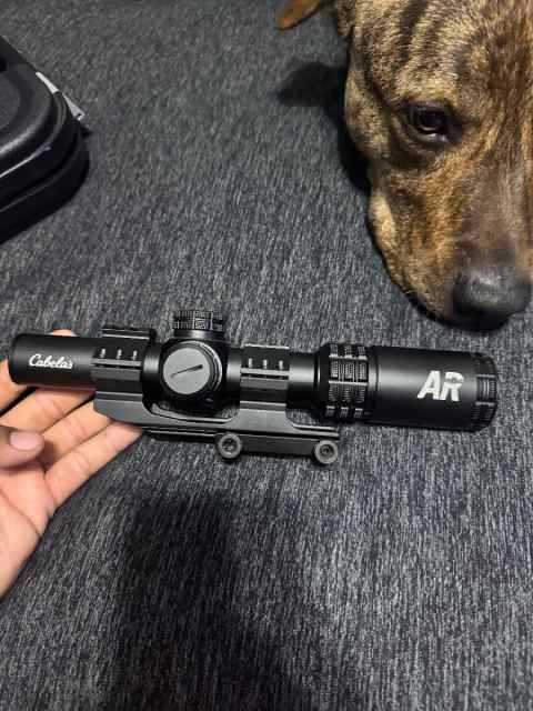 Cabelas AR LPVO