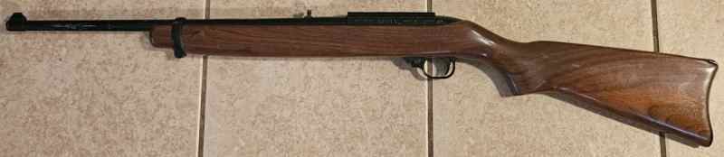Ruger 10/22