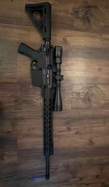 AR-10 .308