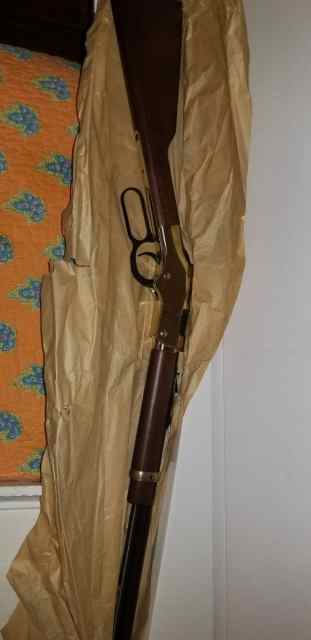 Ruger mini 14 Henry ..Golden boy 22lr