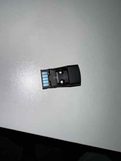 IMG_2875.jpeg