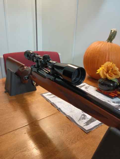 RARE Ruger M77 RLS .243 18.5 Barrel