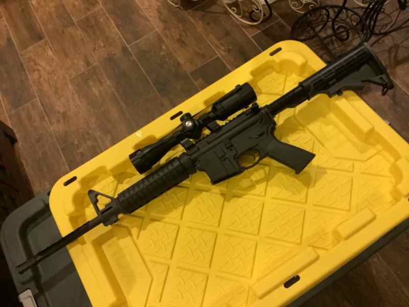 Ruger AR 556
