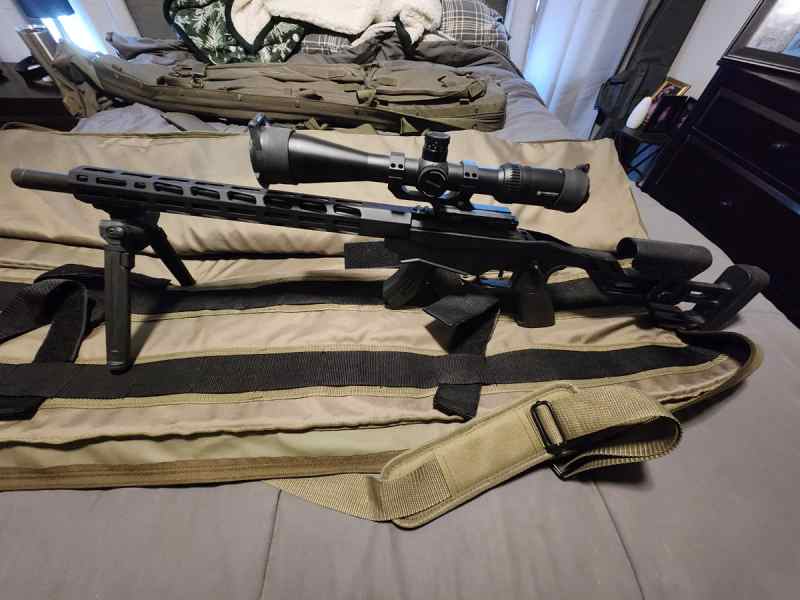 Ruger precision 22