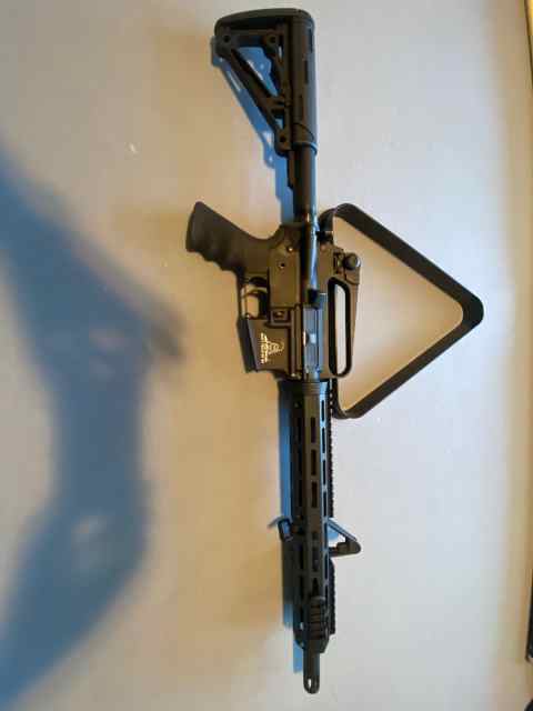 AR15 (Custom)