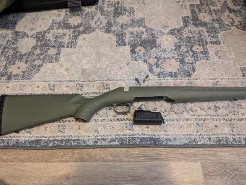 Ruger American Predator Stock and Magazine