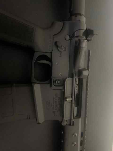 IMG_3941.jpeg