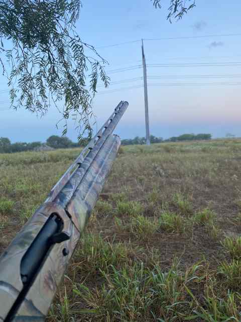 Stoeger M3500