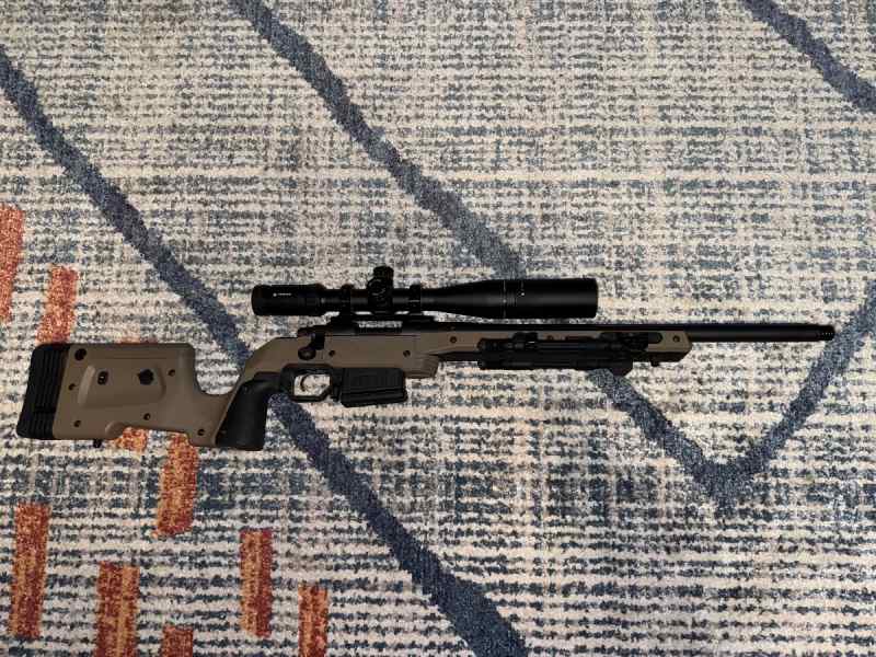 Remington 700 (308)