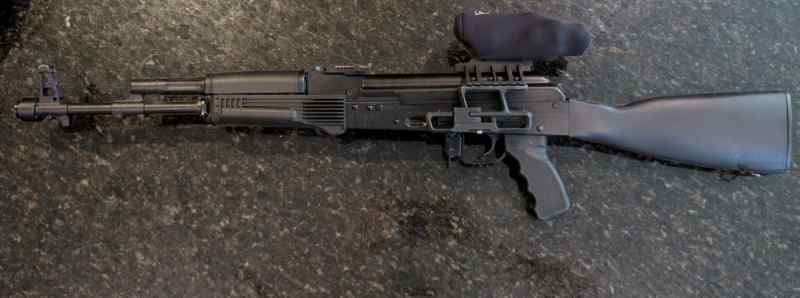 Saiga_1.jpg
