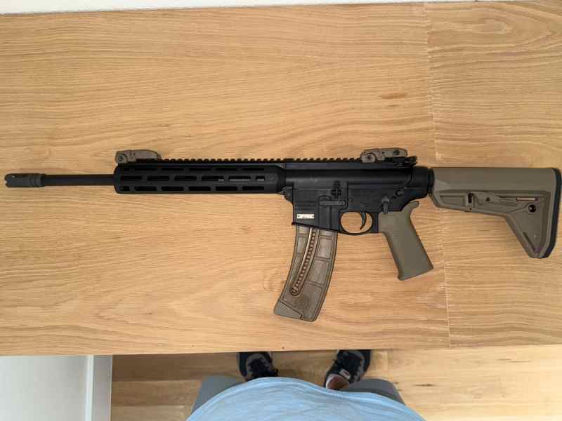SW M&amp;P 22 FDE