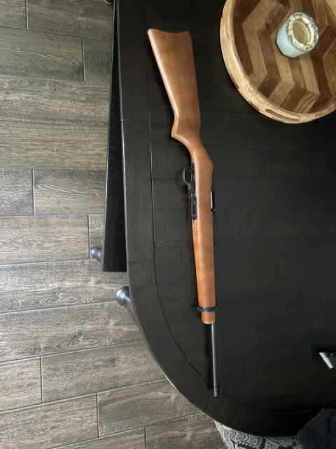 Ruger 10-22 
