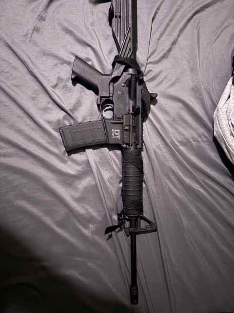 Delton AR15