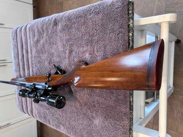 Ruger M77 Tang Safety - 243 Win