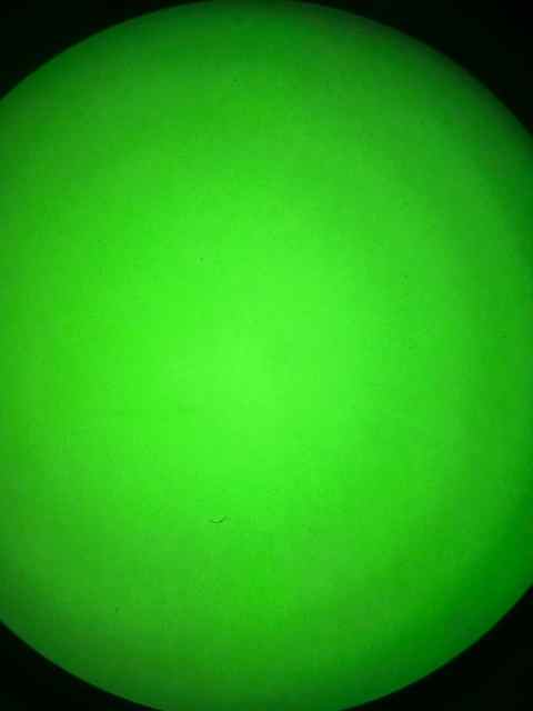 IMG_2259.jpeg