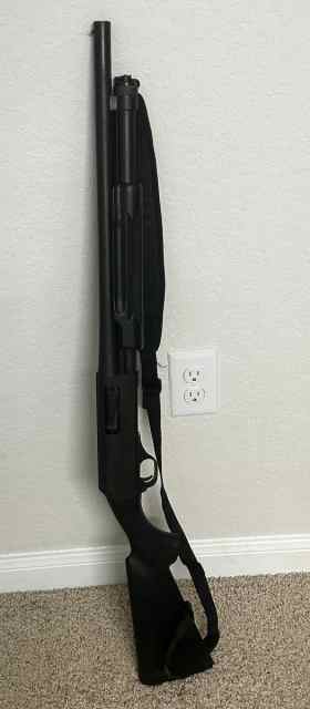 IMG_4860.jpeg