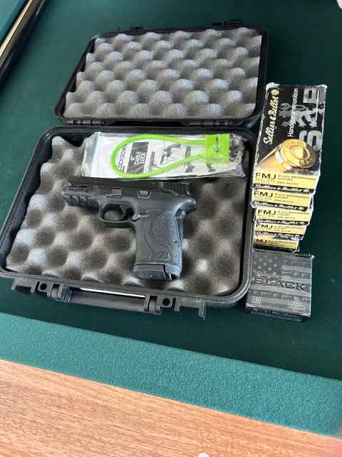 S&amp;W EZ 380 with ammo